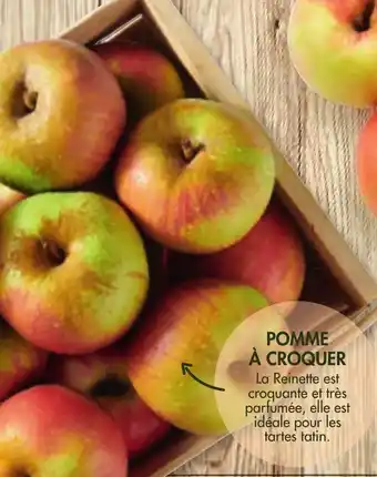 Match Pomme à croquer valeur sure offre