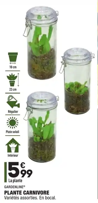 Plante carnivore
