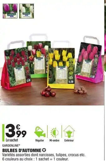 ALDI Bulbes d'automne offre