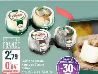 G20 Crottin de Chèvre Nature ou Cendré offre