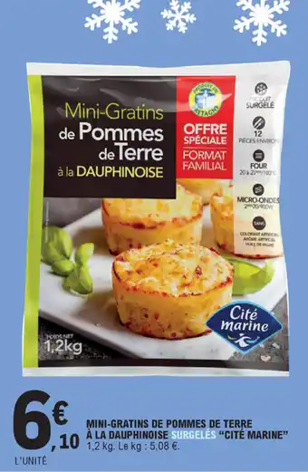 E.Leclerc Mini-gratins de pommes de terre à la Dauphinoise offre