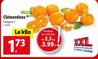 Lidl Clémentines offre