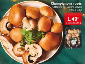Colruyt Champignons rosés offre