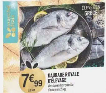 marché frais Géant DAURADE ROYALE D'ÉLEVAGE offre