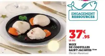 Super U NOIX DE COQUILLES SAINT JACQUES offre