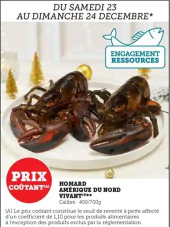 Super U HOMARD AMÉRIQUE DU NORD VIVANT offre