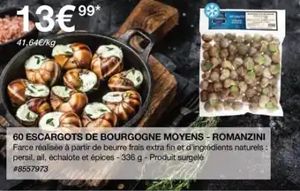 60 ESCARGOTS DE BOURGOGNE MOYENS - ROMANZINI