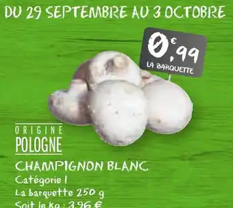 G20 Champignon Blanc offre