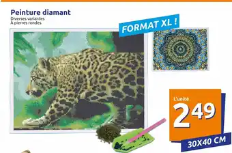 Action Peinture diamant offre