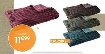 b&m Plaid lily offre