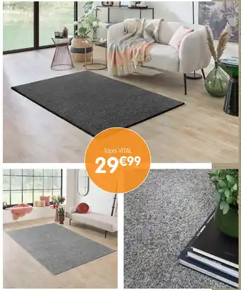 b&m Tapis vital offre