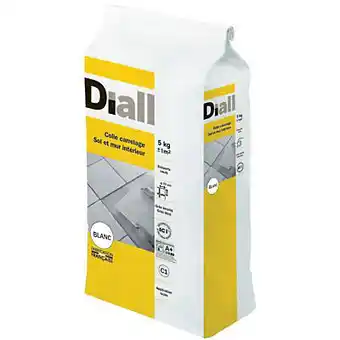 Castorama Colle carrelage sol et mur intérieur blanc 5 kg offre