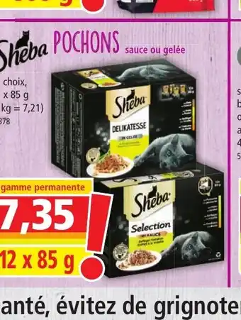 Norma Sheba pochons offre