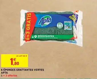 6 ÉPONGES GRATTANTES VERTES APTA