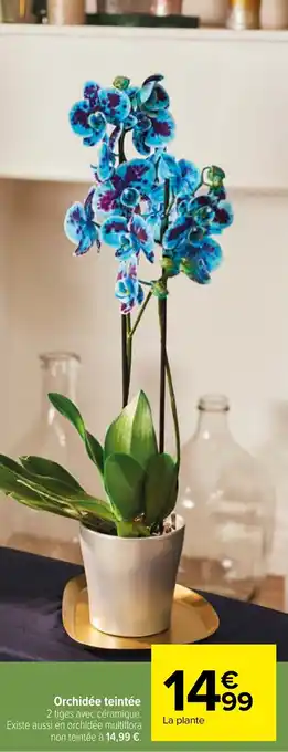 Carrefour Orchidée teintée offre