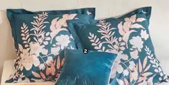 Intermarché Domédia coussin velours offre