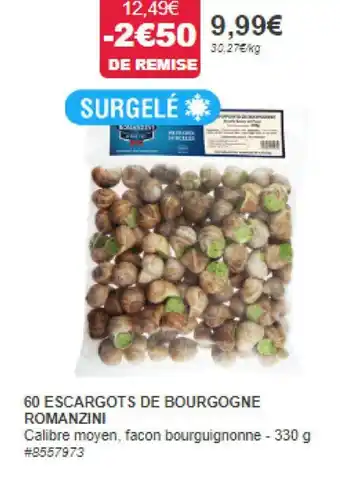 60 ESCARGOTS DE BOURGOGNE ROMANZINI