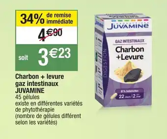 Charbon + levure gaz intestinaux