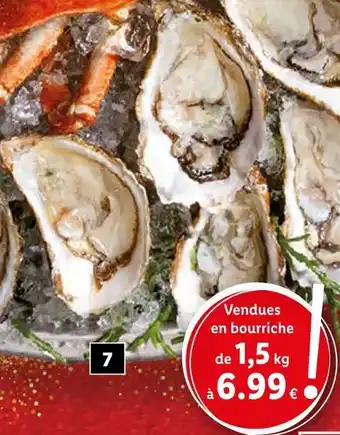 Lidl Huîtres creuses ou n°4 marennes oléron igp offre