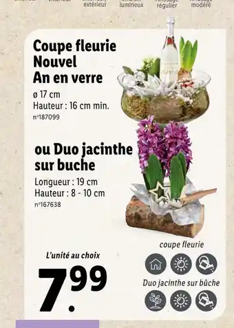 Lidl Coupe fleurie nouvel an en verre offre