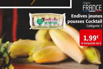 Colruyt Perle du nord endives jeunes pousses cocktail offre