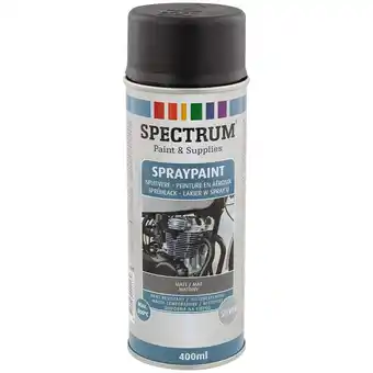 Action Peinture mate en aérosol résistant à la chaleur Spectrum offre