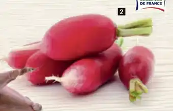 ALDI RADIS offre