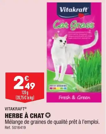 ALDI HERBE À CHAT offre