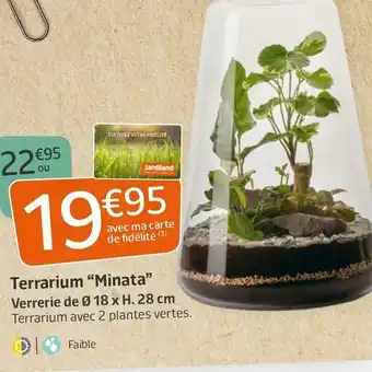 Jardiland Terrarium “minata” offre