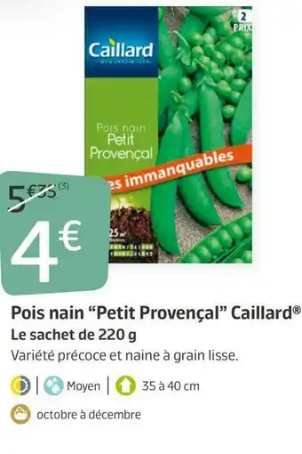 Jardiland Pois nain “petit provençal” caillard® offre