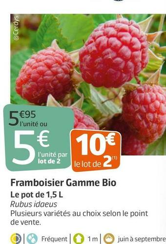 Jardiland Framboisier gamme bio offre