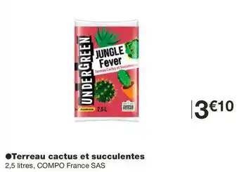 Monoprix Terreau cactus et succulentes offre
