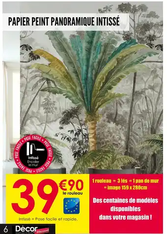 Décor Discount Papier peint panoramique intissé offre