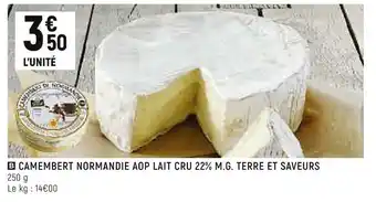 Terre et saveurs camembert normandie aop lait cru 22% m.g.