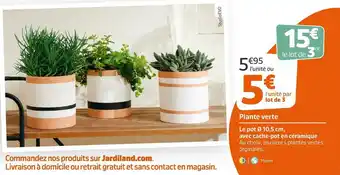 Jardiland Plante verte offre