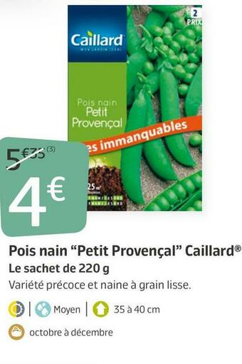 Pois nain “petit provençal” caillard®