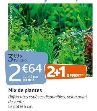 Jardiland Mix de plantes offre