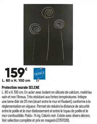 Bricorama Protection murale selene offre