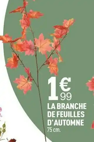 Centrakor La branche de feuilles d'automne offre