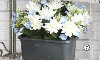 Centrakor La jardinière de 24 dahlias offre