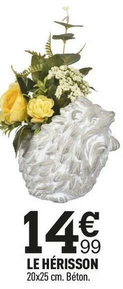 Centrakor Le hérisson offre