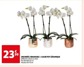 Auchan ORCHIDÉE 2 BRANCHES + CACHE POT CÉRAMIQUE offre
