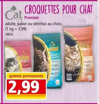 Norma Cat croquettes pour chat premium offre