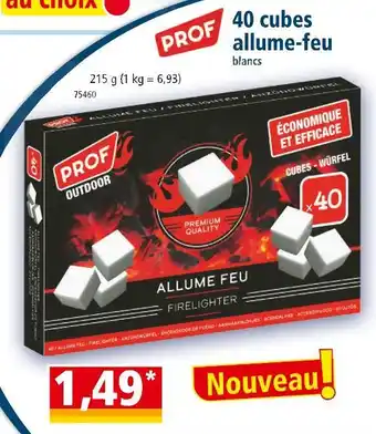 Prof 40 cubes allume-feu