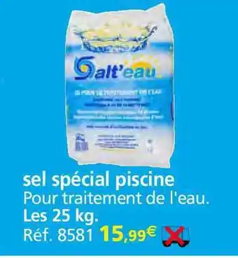 Provence Outillage Sel Spécial Piscine offre