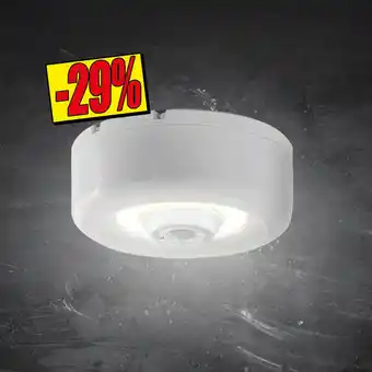 Norma Lampe led offre