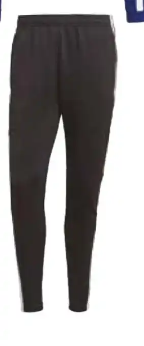 SQUADRA 21 TRAINING PANT