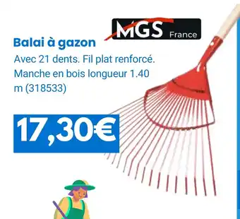 Rural Master Balai à gazon offre