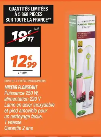 Esperanza mixeur plongeant