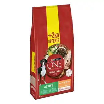 Auchan Croquettes pour chien adulte purina offre